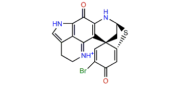 (6R,8R)-Discorhabdin B